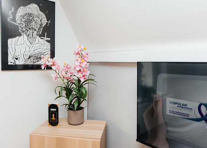 Maya's Flats & 23 Attic - Ogarna Old Town *