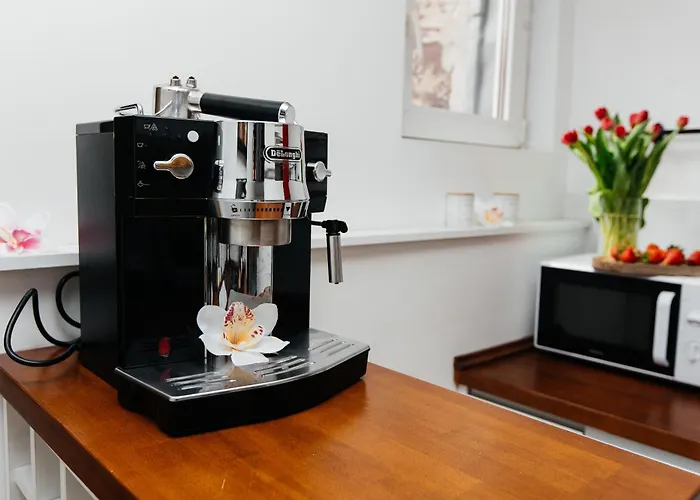 Maya's Flats & 23 Attic - Ogarna Old Town *