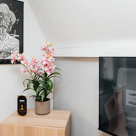 Maya's Flats & 23 Attic - Ogarna Old Town *