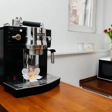 Maya's Flats & 23 Attic - Ogarna Old Town *